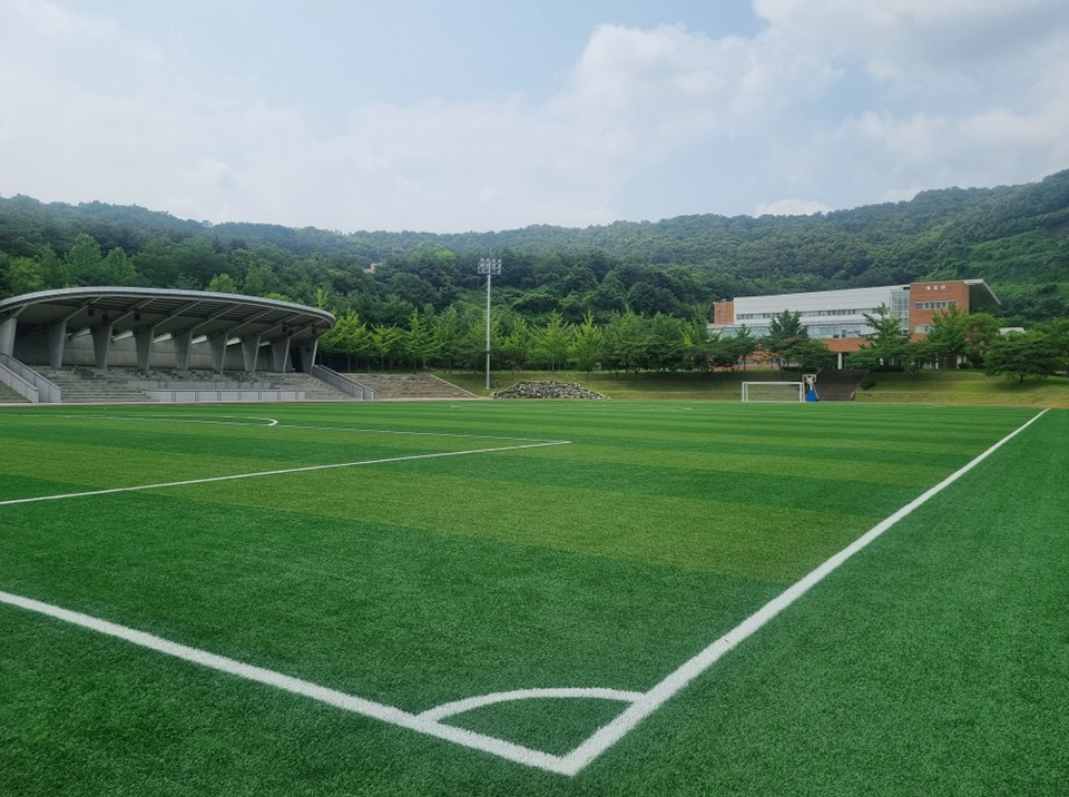 축구장 전경